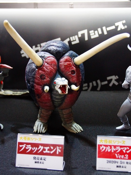 wf2020w_エクスプラス04