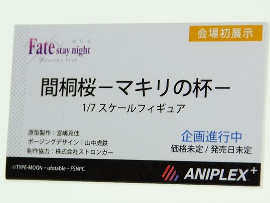 WF2020W_ANIPLEX05