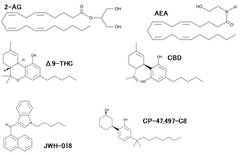 カンナビノイド