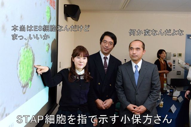 Stap細胞は存在したのか 嘘についての考察 場末p科病院の精神科医のblog