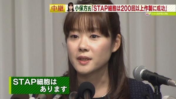 Stap細胞は存在したのか 嘘についての考察 場末ｐ科病院の精神科医のblog