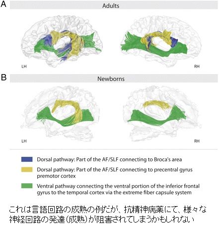 child neurolepica-2-10