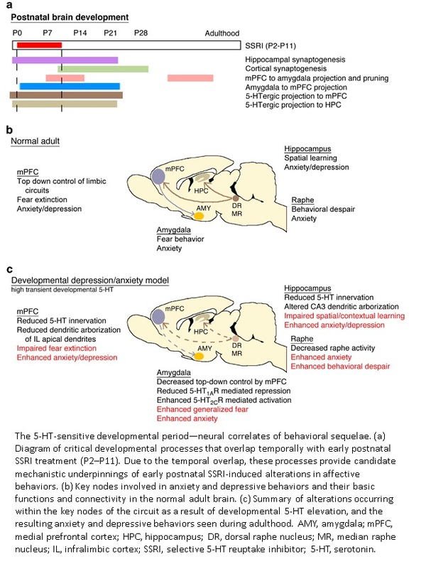 child neurolepica-1-15