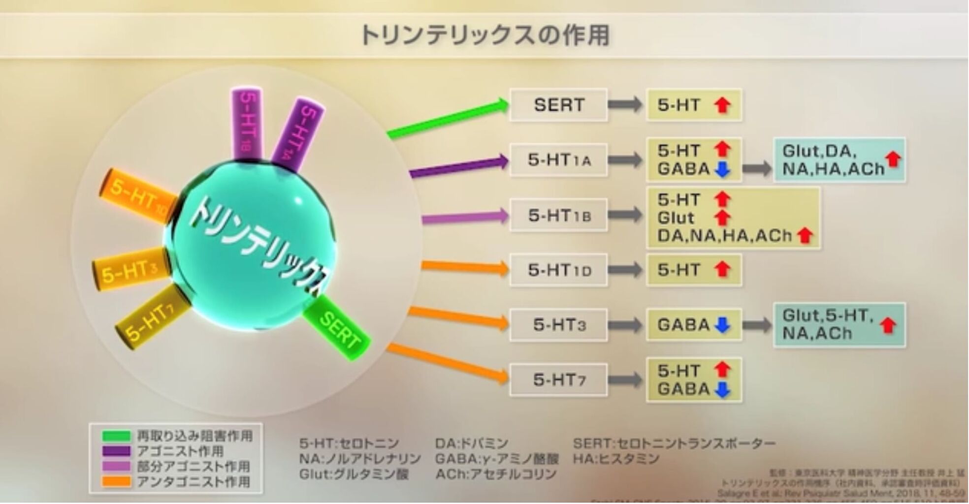 テ リックス 副作用 トリン