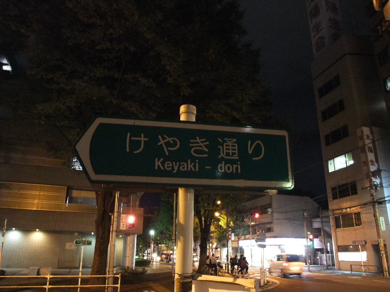 今夜の買物 ザ ダイソー 中野早稲田通 中野 右往左往