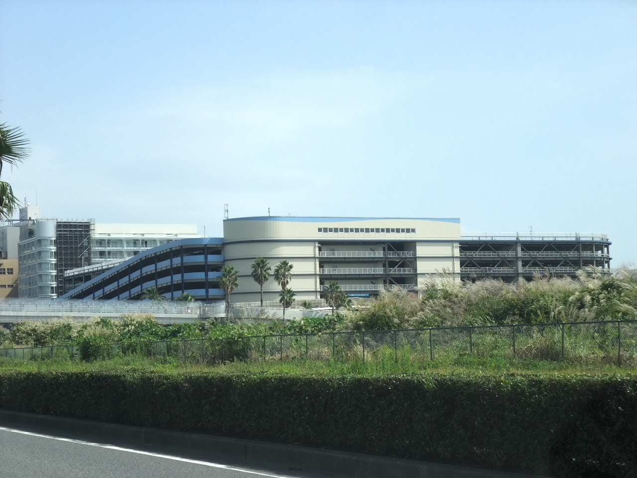 今日の童心 食事 東京ディズニーシー 東京ディズニーシー ステーション 右往左往