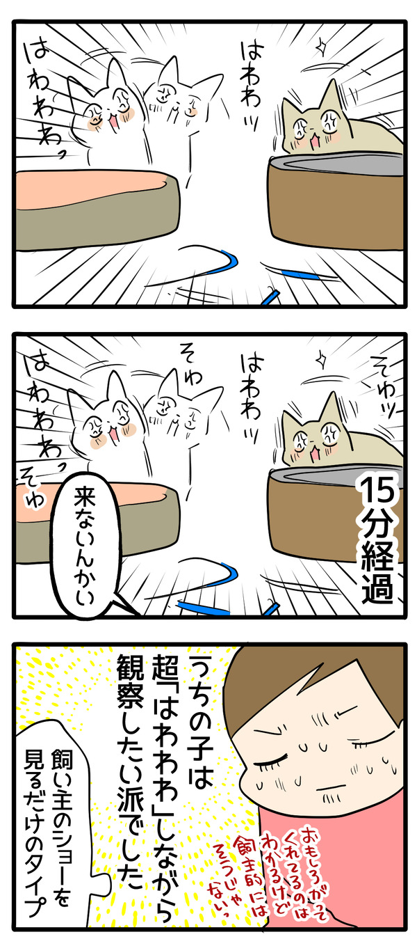 新しいオモチャ2