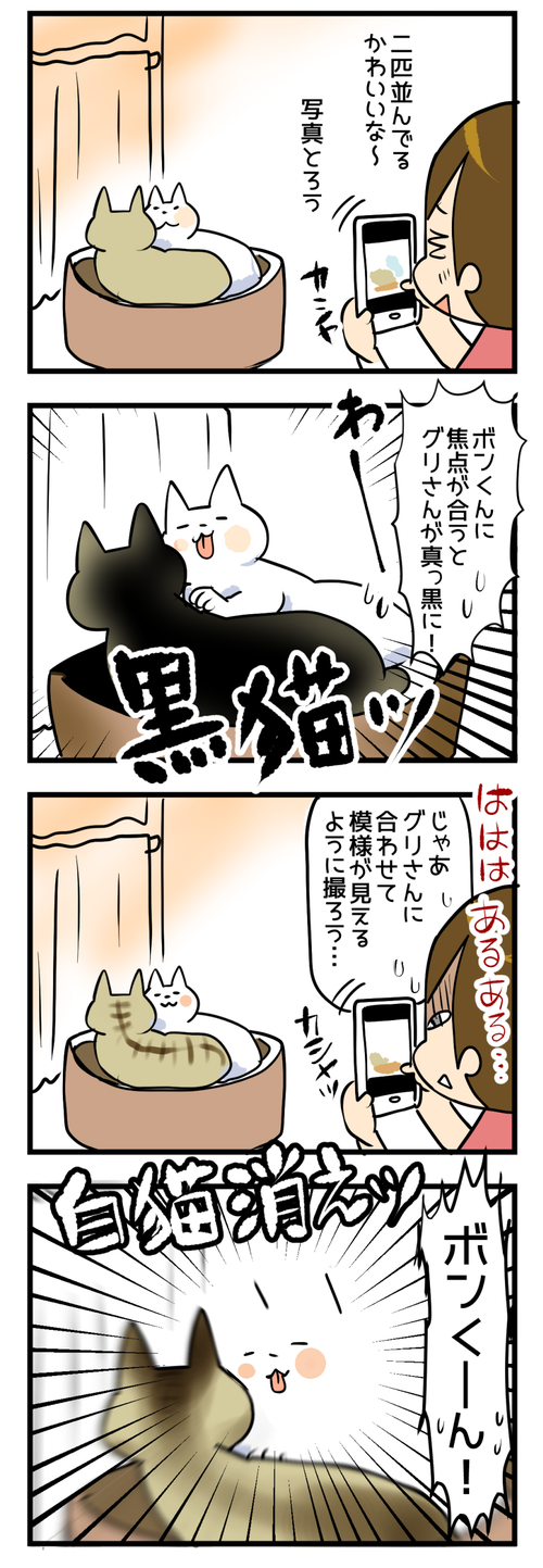 コントラスト