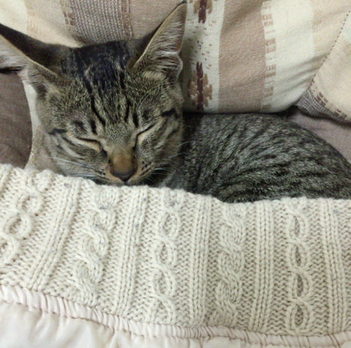 キャプチャ