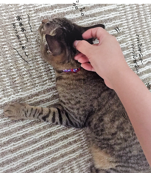 キャプチャ