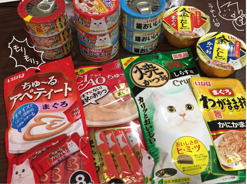 キャプチャ2