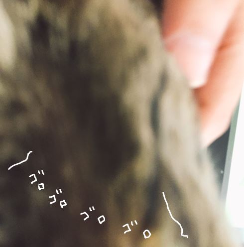キャプチャ7