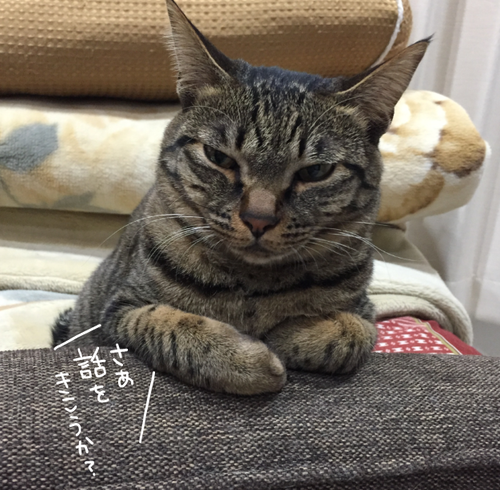 キャプチャ