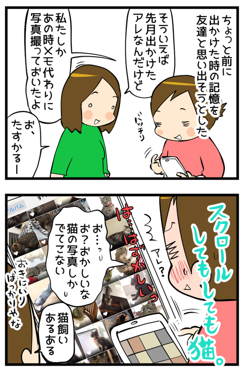 猫飼いです