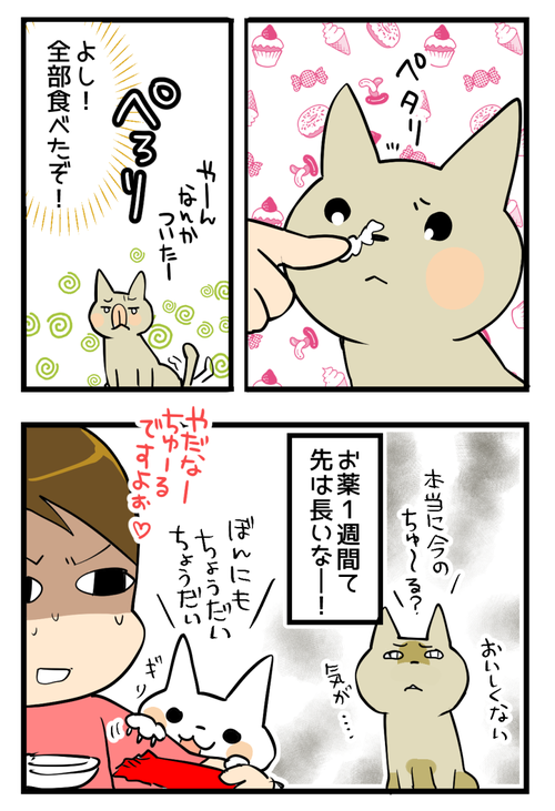 おくすりとちゅーる2