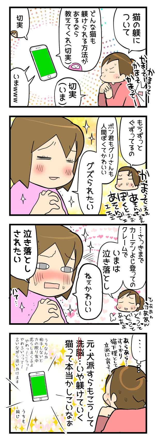 猫の躾