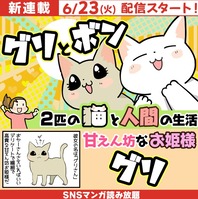 グリボン静止画