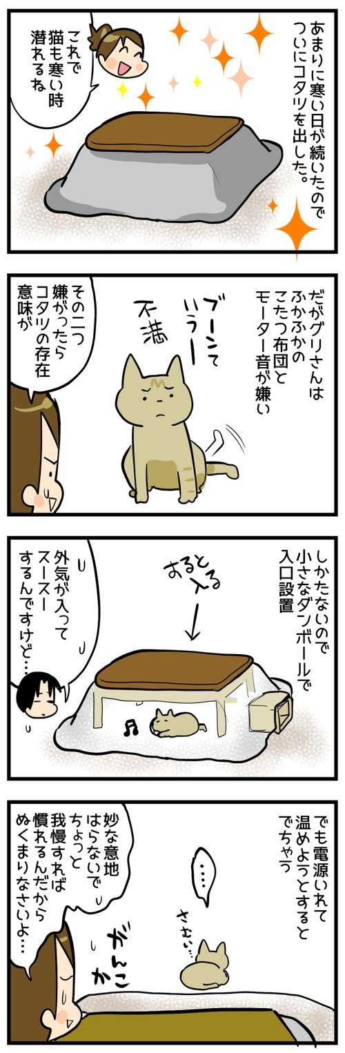 猫とコタツ