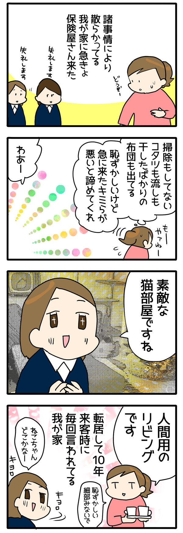 猫好き容赦なく探す