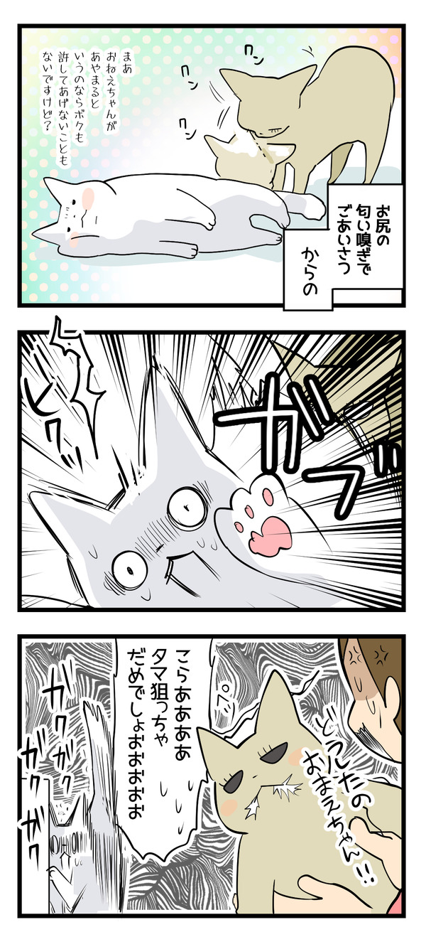 女性不審2