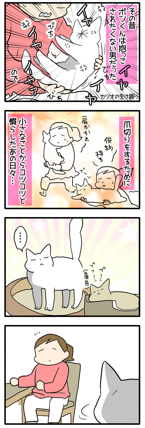 猫の要求激しくなっていくタイプ
