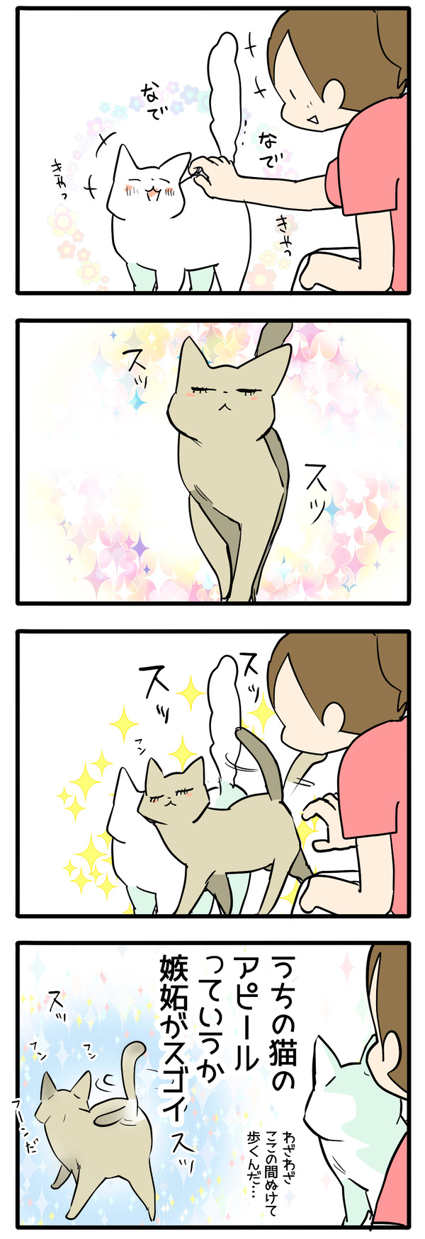 アピールする猫