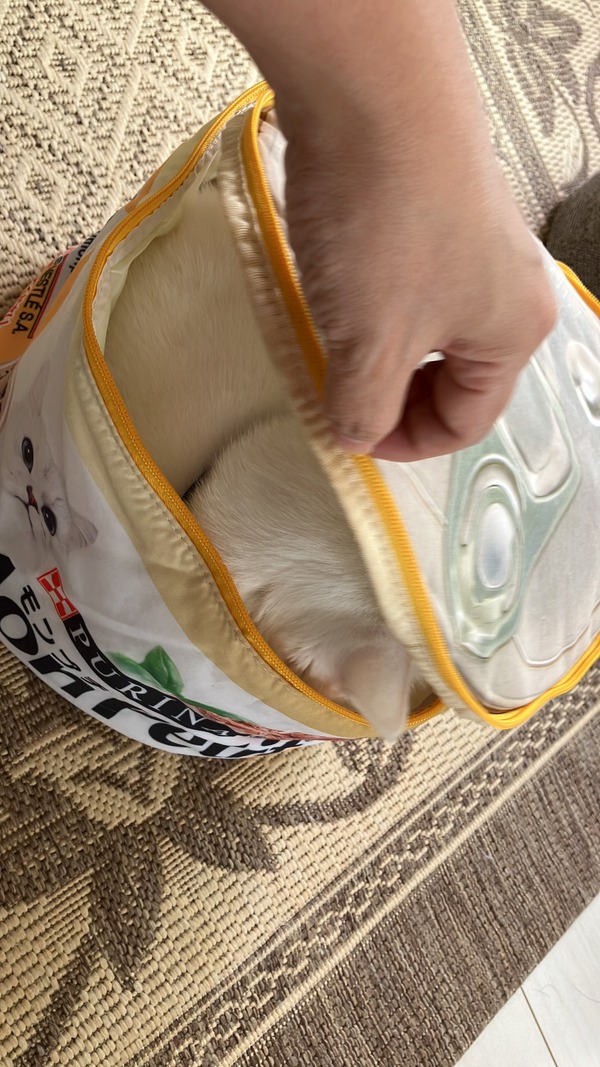 ムック本11