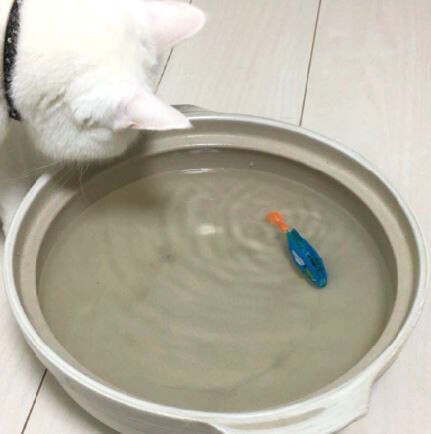 キャプチャ2
