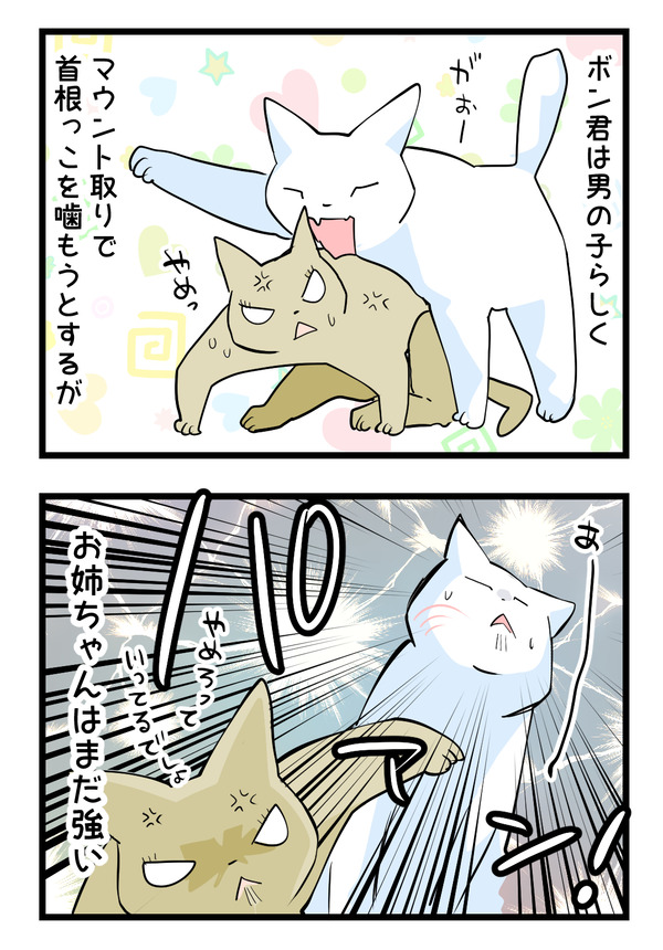 マウント