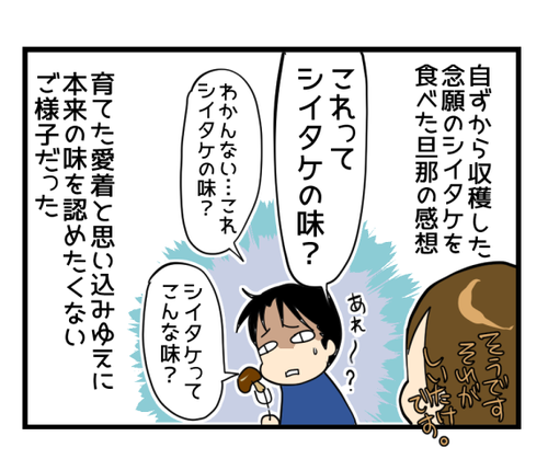 しいたけ2