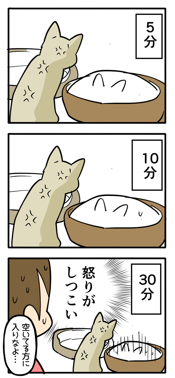 怒りの持続2