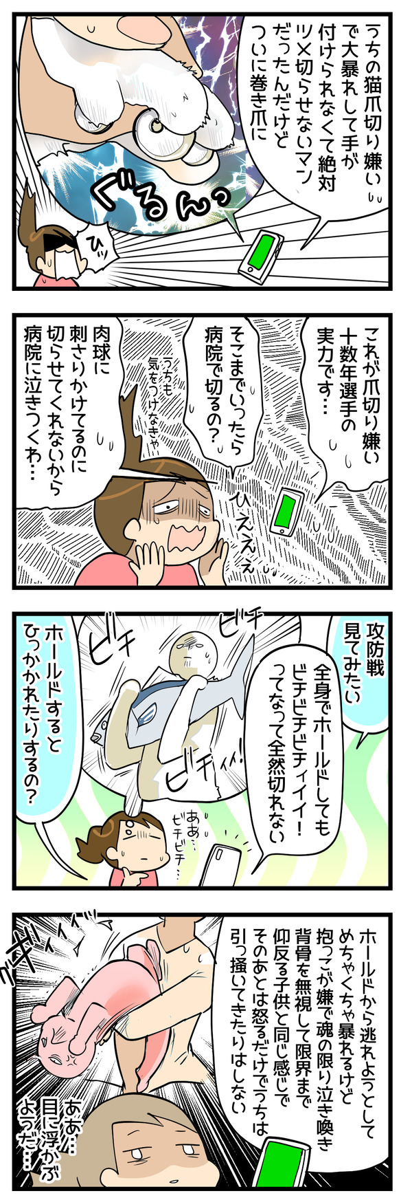 ツメ