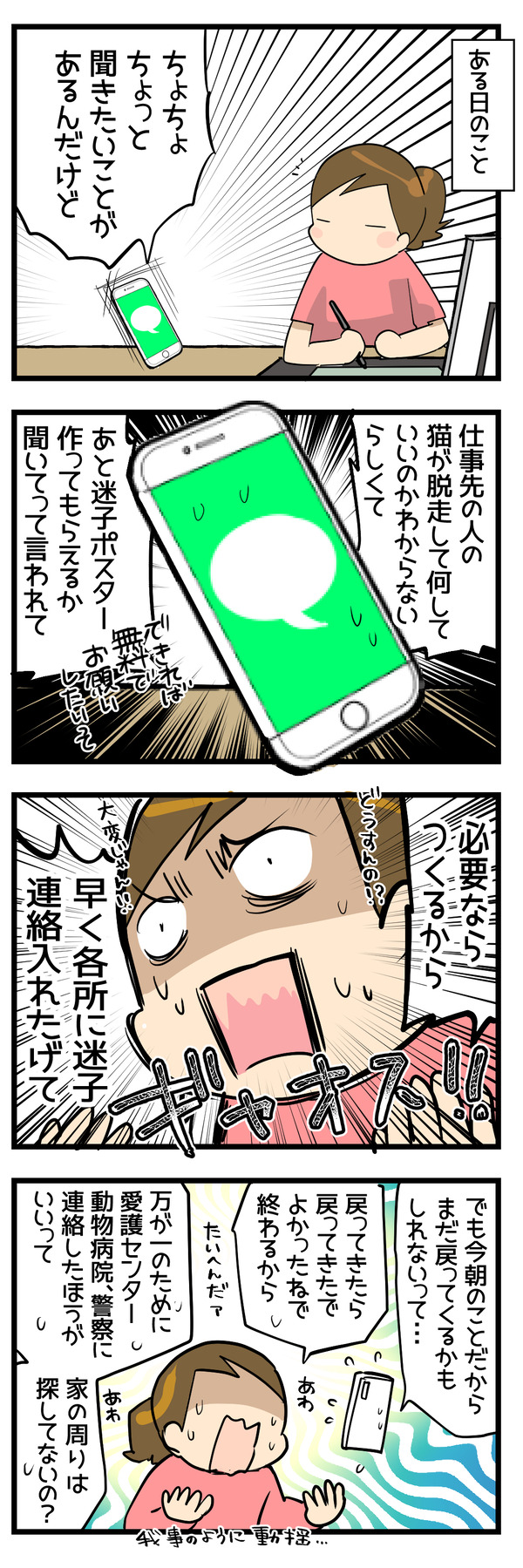 猫が脱走した話