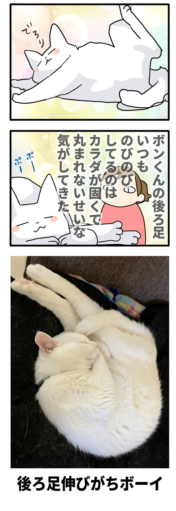 後ろ足伸びがちボーイ2