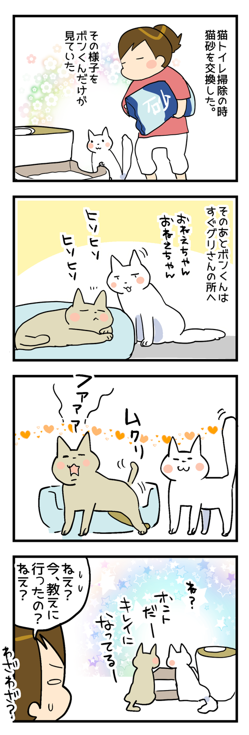 報告?