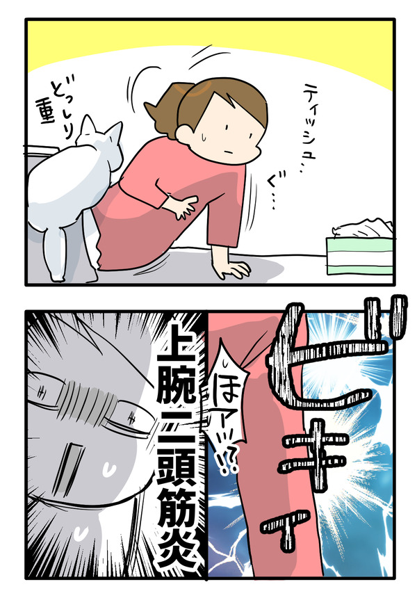 軟弱か・・・