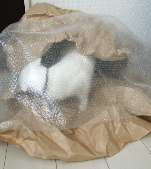 キャプチャ2