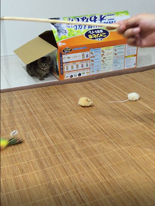 キャプチャ2