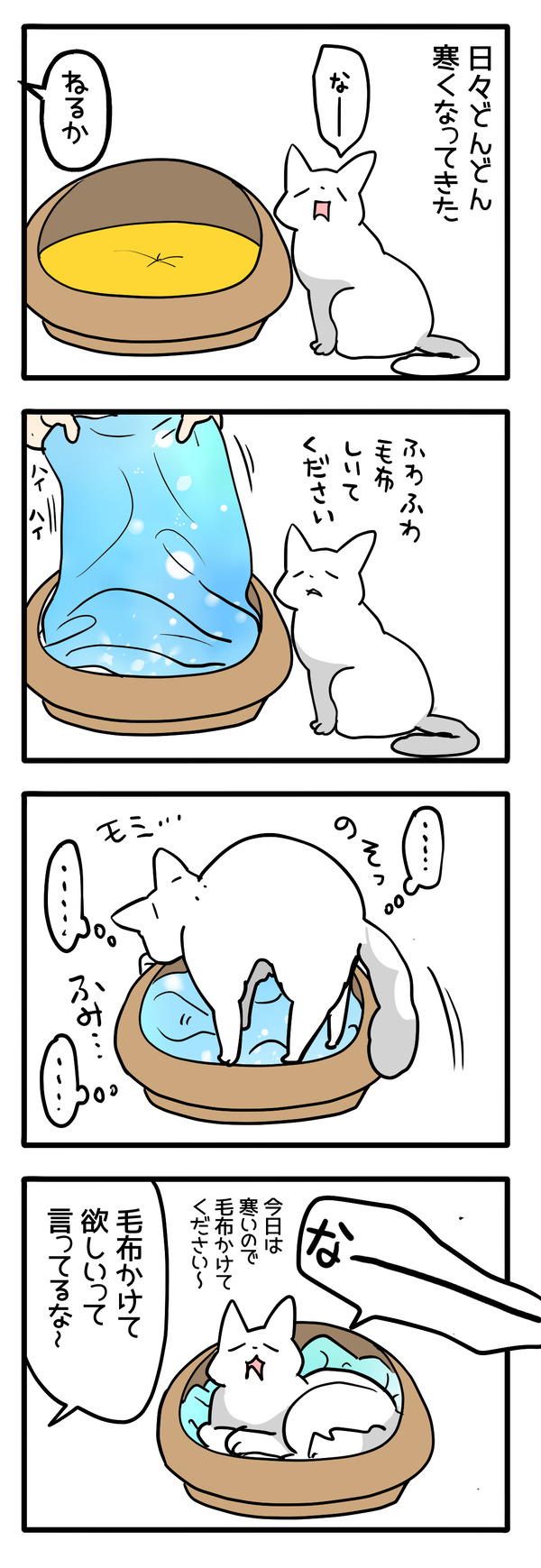 猫の気持ちを考える