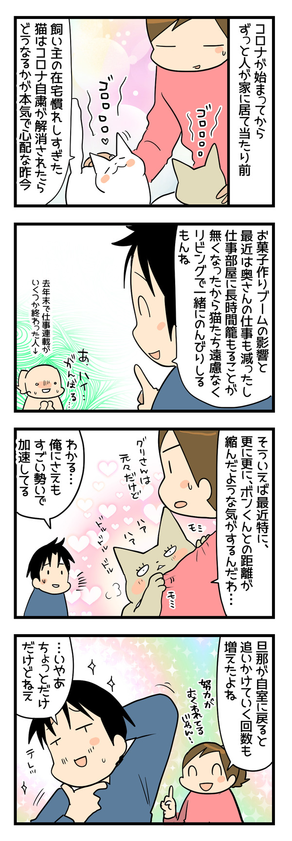 猫たちの変化