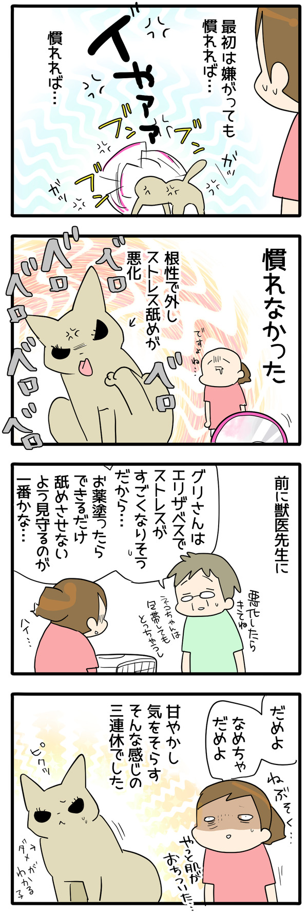 舐めすぎる女3