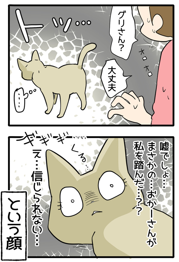 スライディング猫3-1