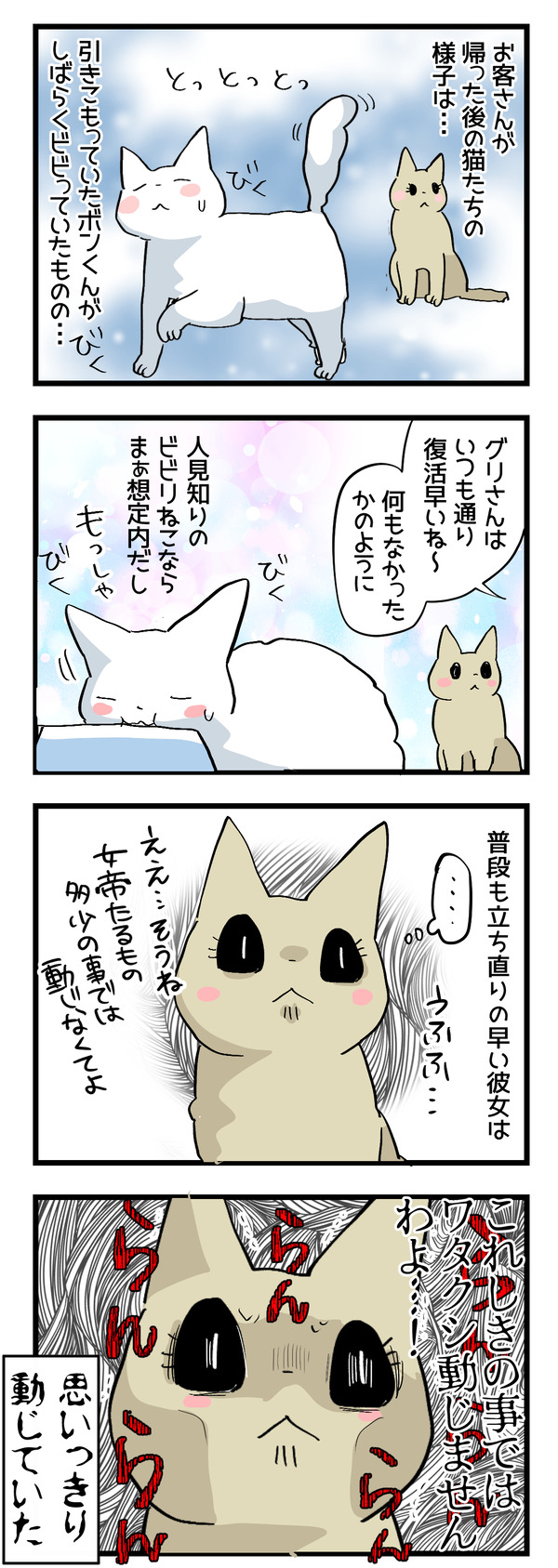 猫たちの変化