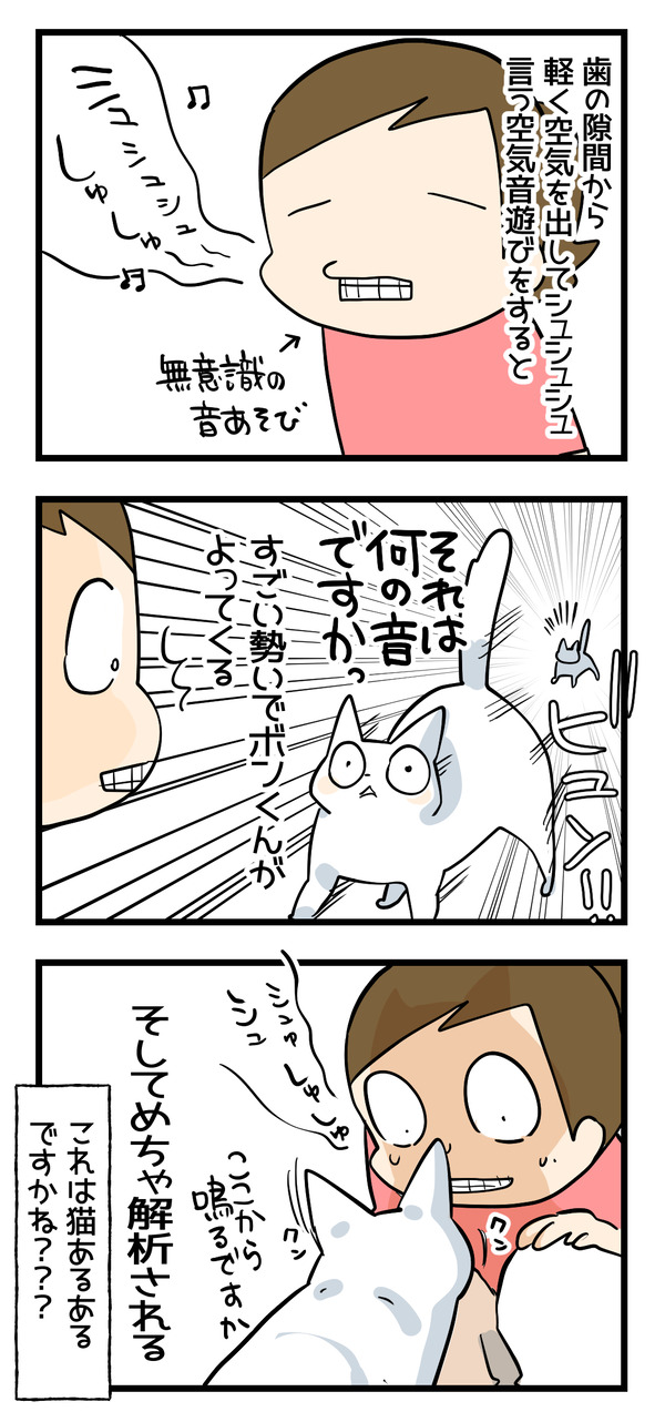 ねこあるあるですか