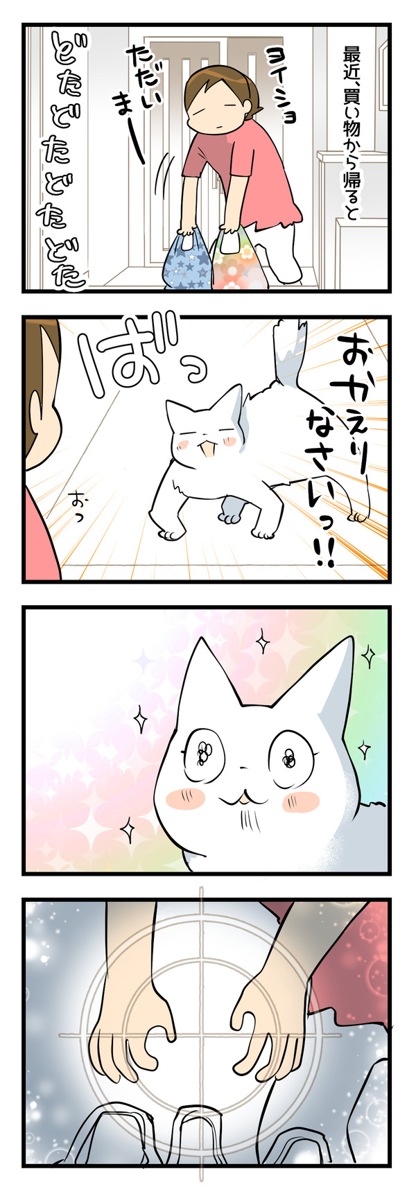 買い物から帰ると