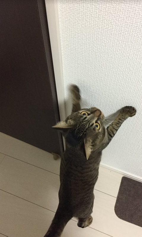 5026