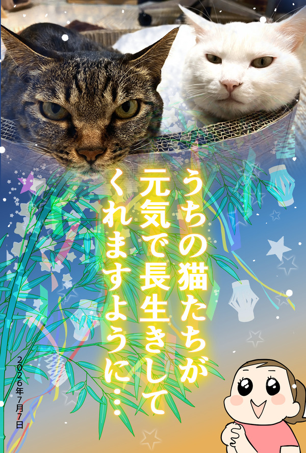 七夕１