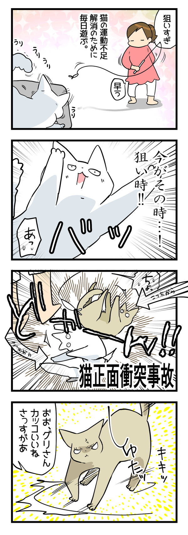 猫交通事故