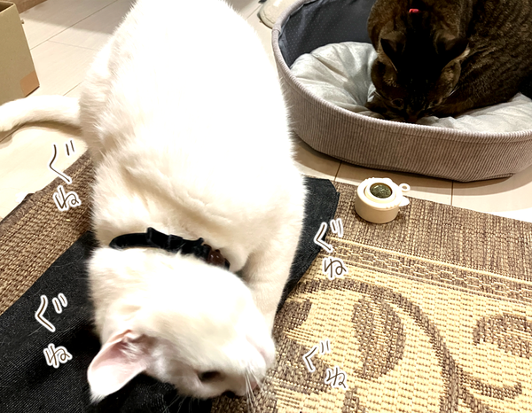 スクリーンショット 2025-12-09 154601