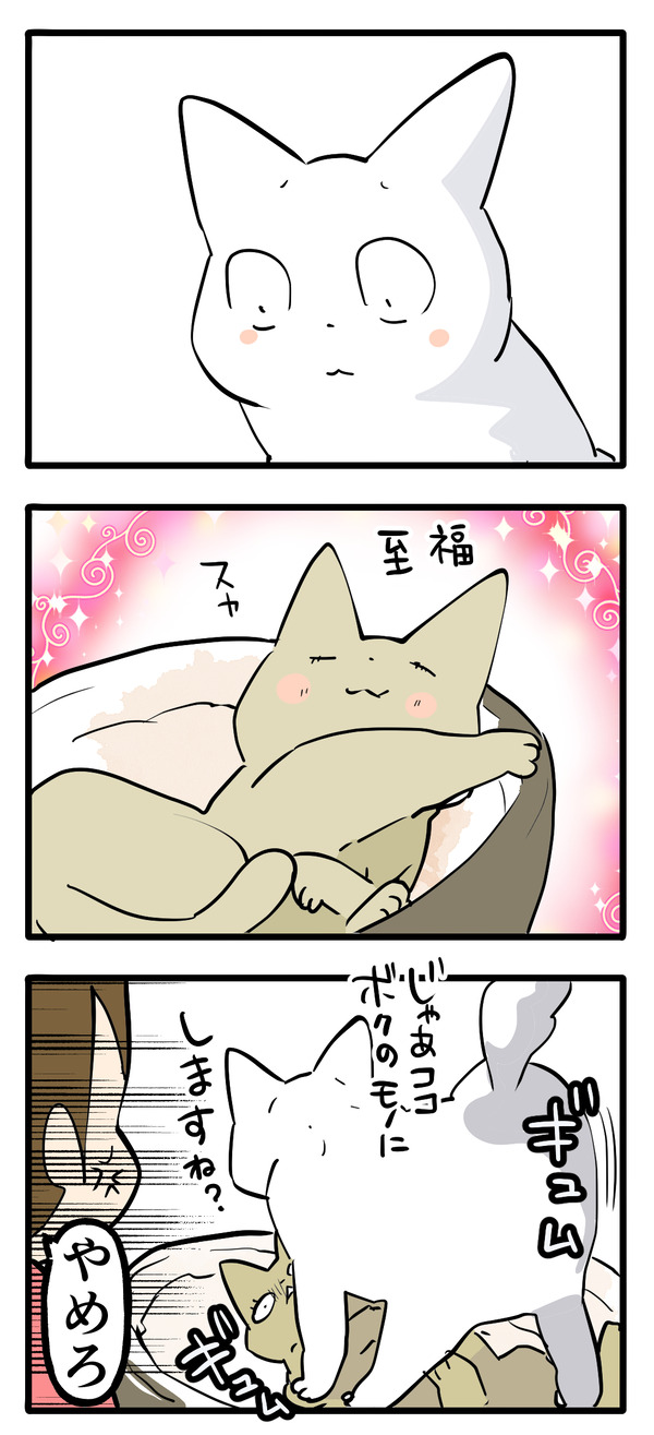 最近の喧嘩の理由